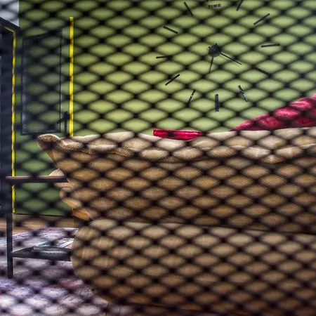 アパート Urban Style In The Centre ヴァルナ